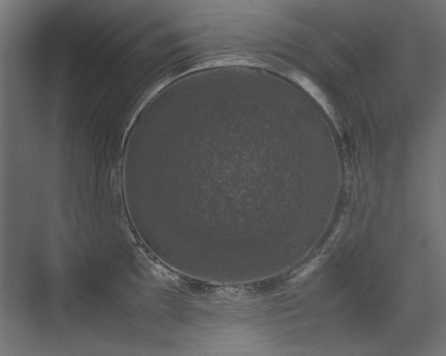 X0000074031097200608211446
