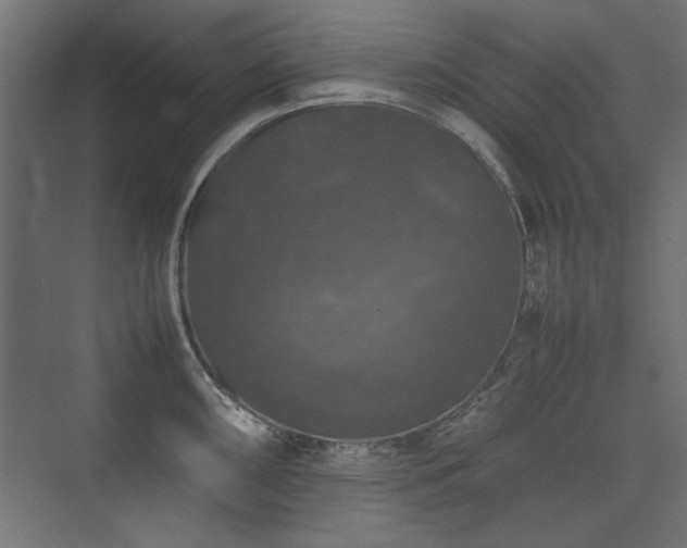 X0000074031098200608211446