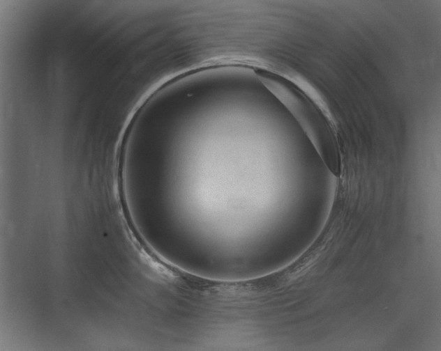 X0000074031102200608211446