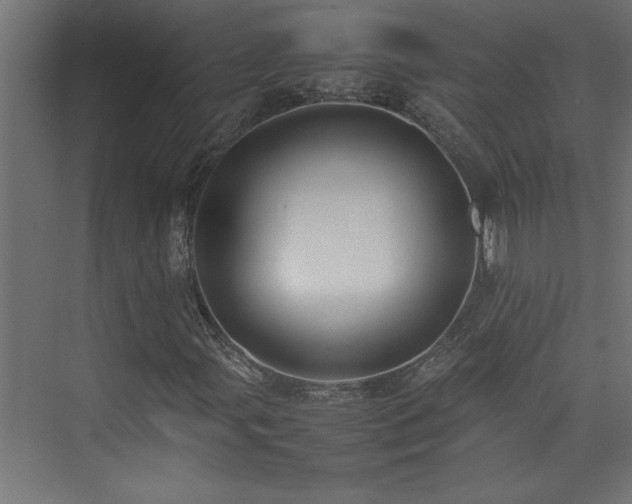 X0000074031107200608211445