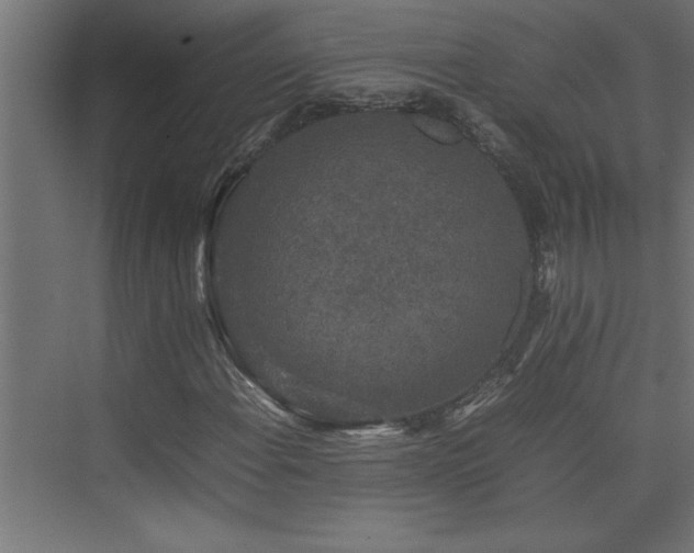 X0000074031108200608211445