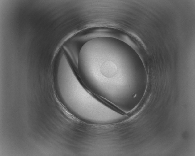 X0000074031114200608211445