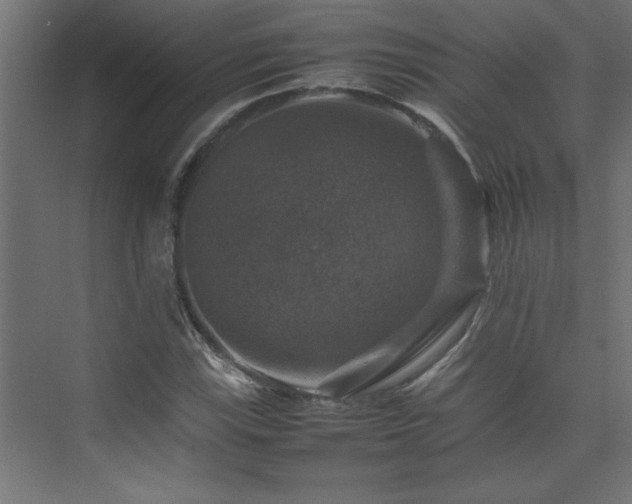 X0000074031115200608211445