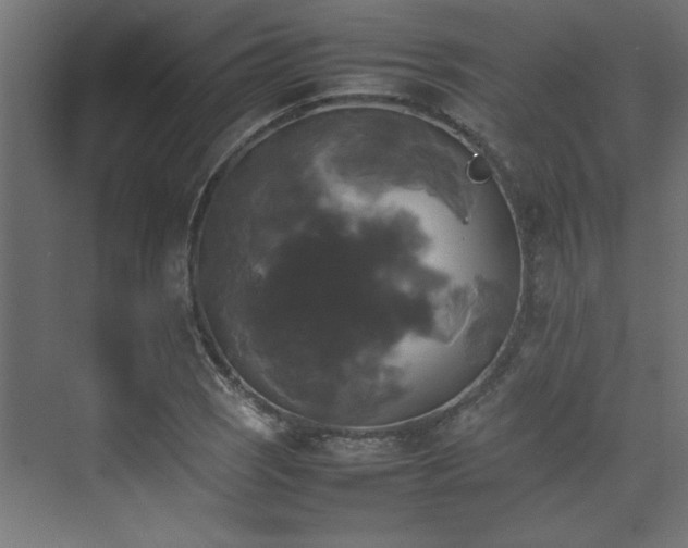 X0000074031121200608211445