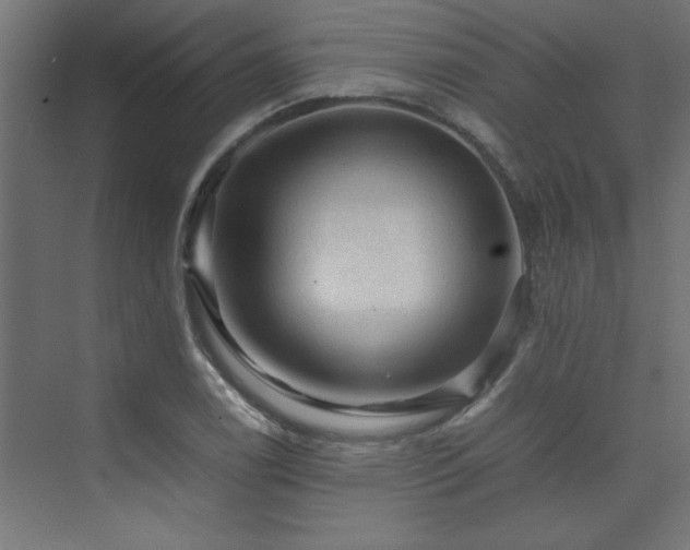 X0000074031122200608211445