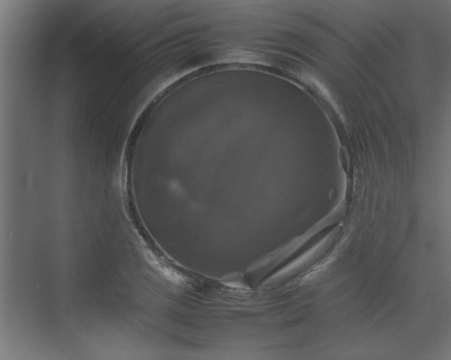 X0000074031125200608211445