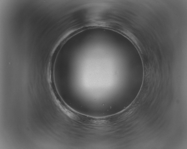 X0000074031131200608211445