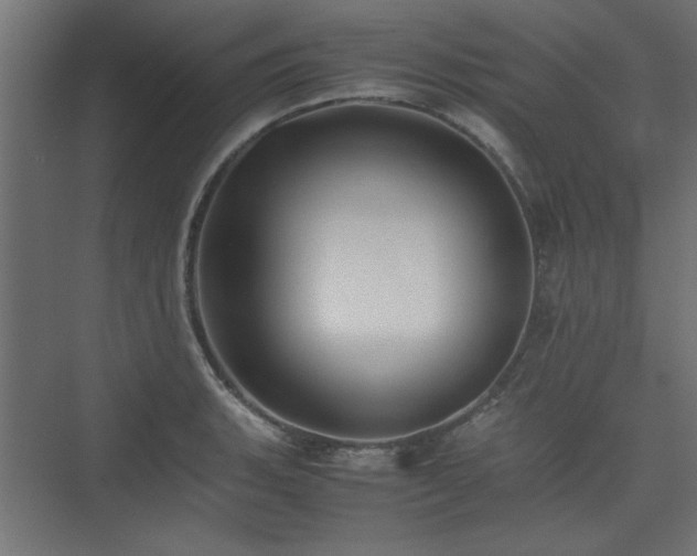 X0000074031135200608211445