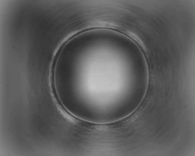 X0000074031136200608211445