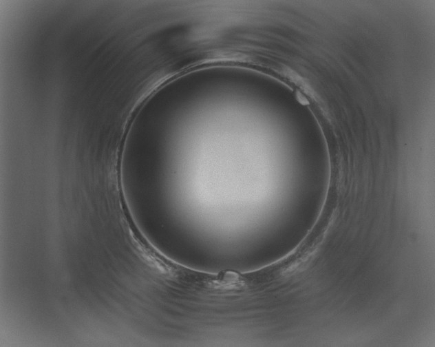 X0000074031137200608211445