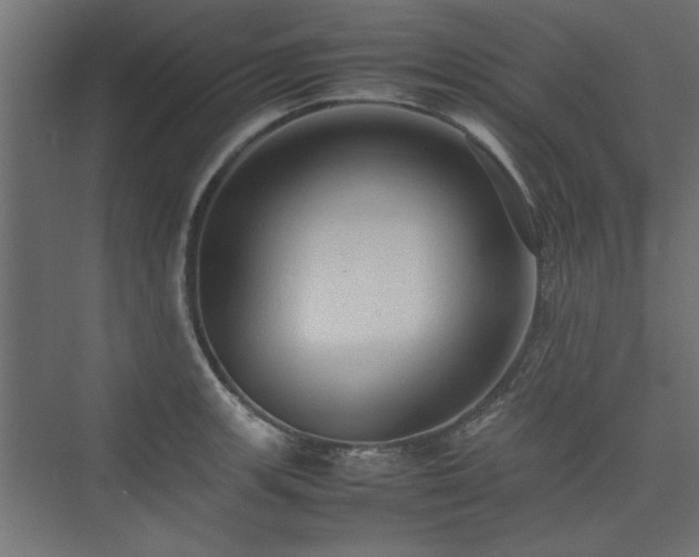 X0000074031139200608211445
