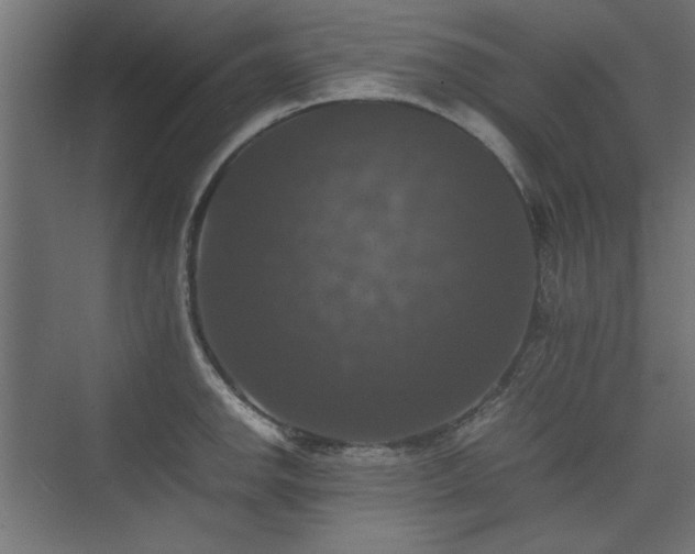 X0000074031142200608211446