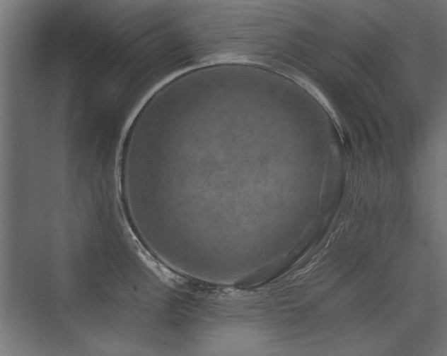 X0000074031148200608211446
