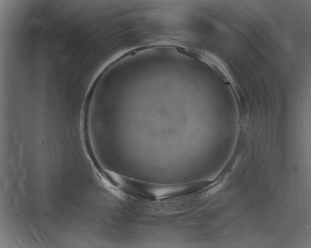 X0000074031149200608211446