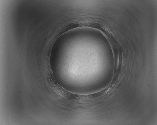 X0000074031153200608211445