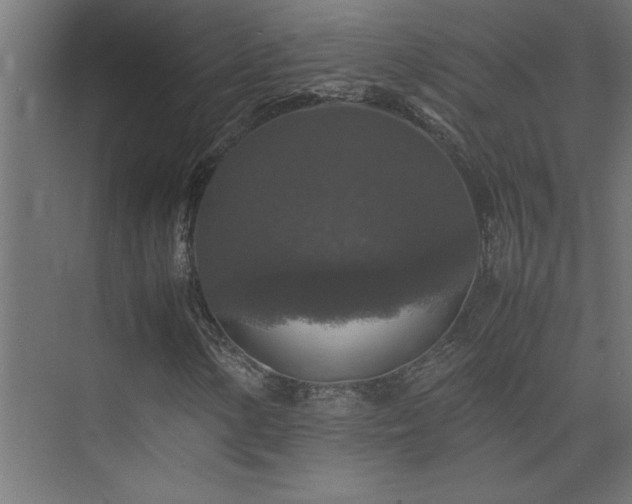 X0000074031154200608211445