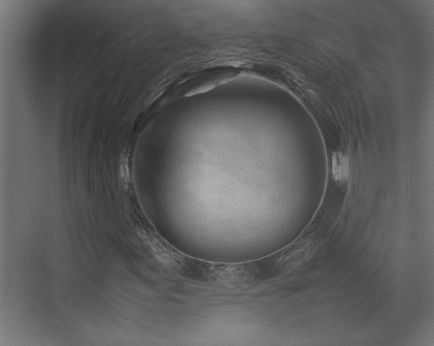 X0000074031155200608211445
