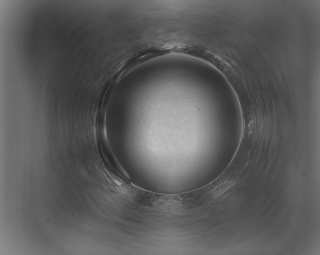 X0000074031156200608211445
