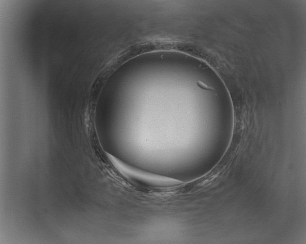 X0000074031157200608211445