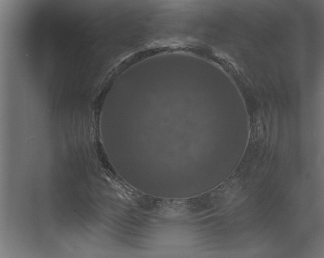 X0000074031158200608211445