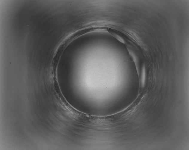 X0000074031164200608211445