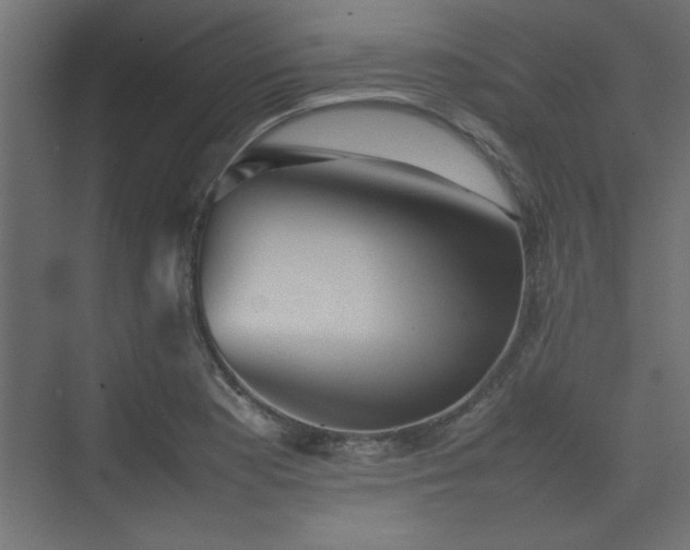X0000074031177200608211445