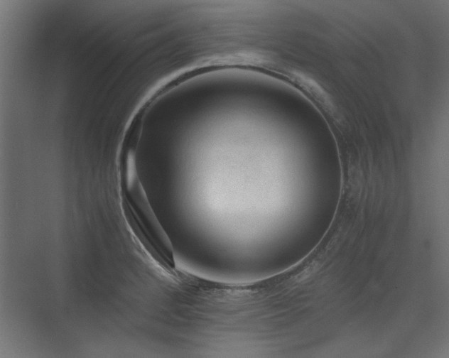 X0000074031184200608211444
