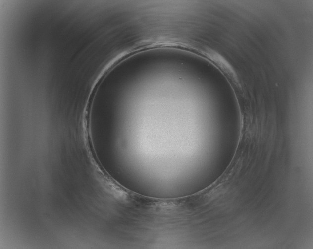 X0000074031190200608211444