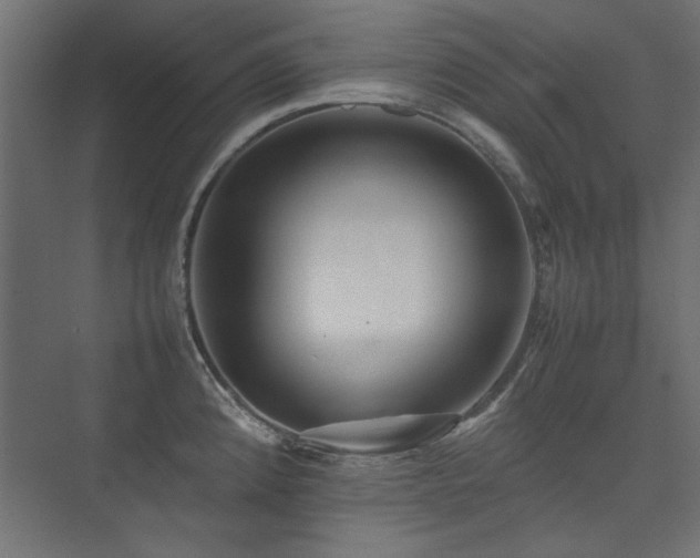 X0000074031192200608211444