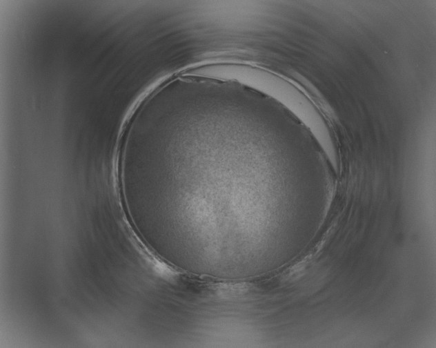 X0000074031196200608211444