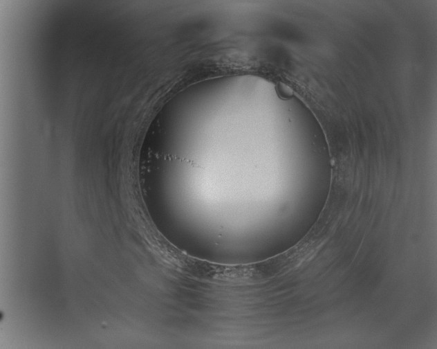 X0000074031201200608211443