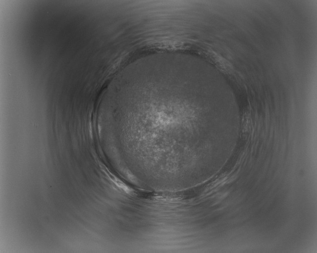 X0000074031202200608211443