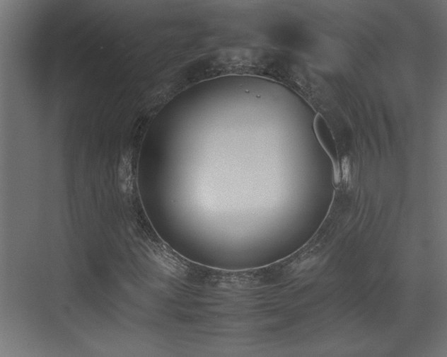 X0000074031203200608211443