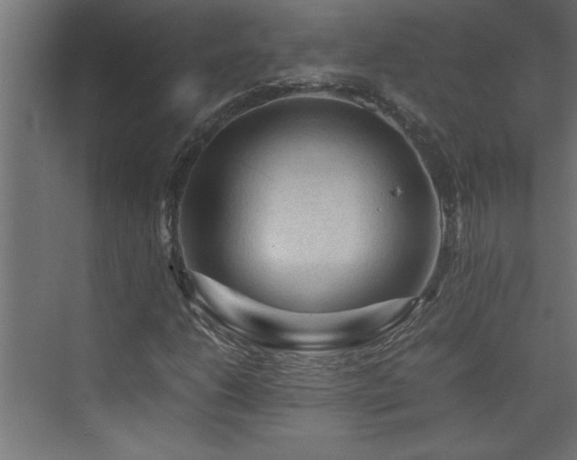 X0000074031206200608211443