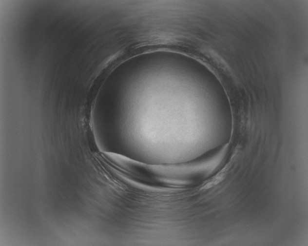 X0000074031210200608211443