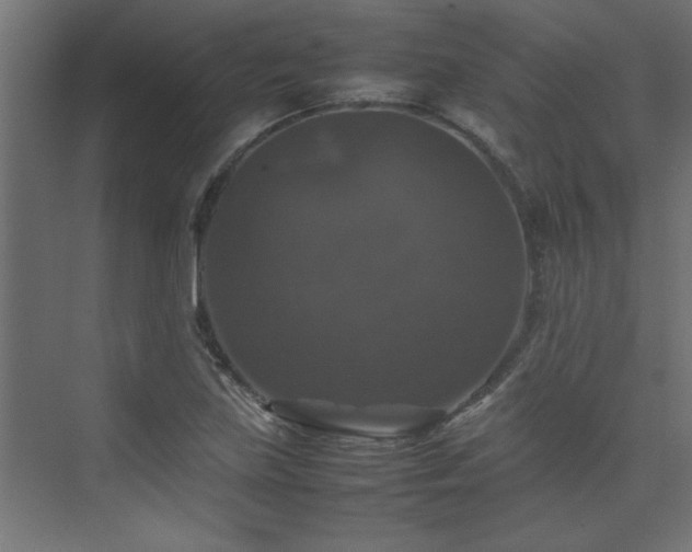 X0000074031219200608211444