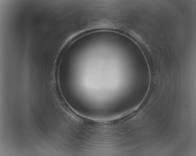 X0000074031222200608211444