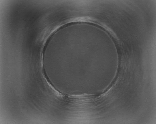 X0000074031224200608211444