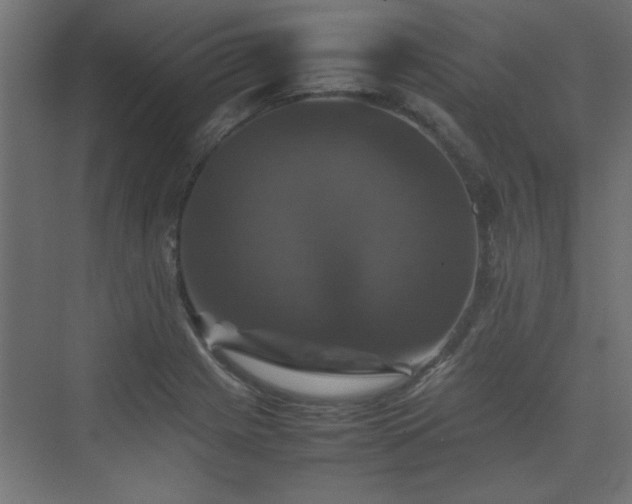 X0000074031225200608211444