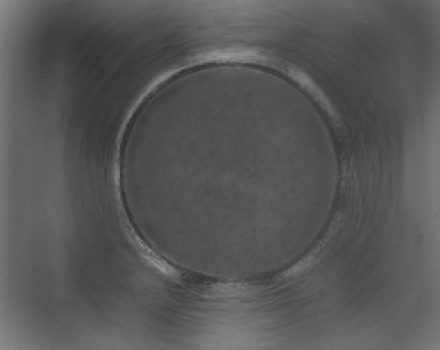X0000074031232200608211444