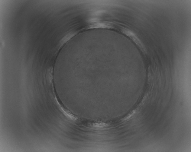 X0000074031233200608211444