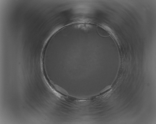 X0000074031235200608211444