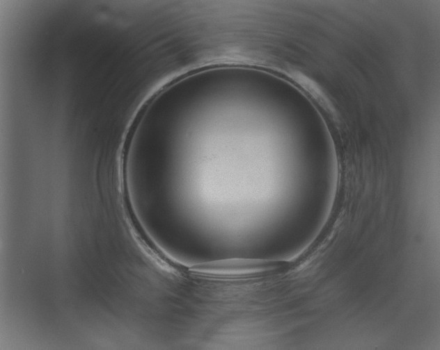 X0000074031238200608211444