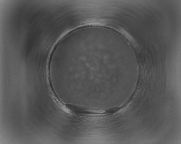 X0000074031240200608211444