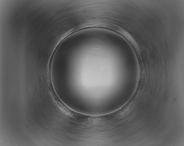 X0000074031242200608211444