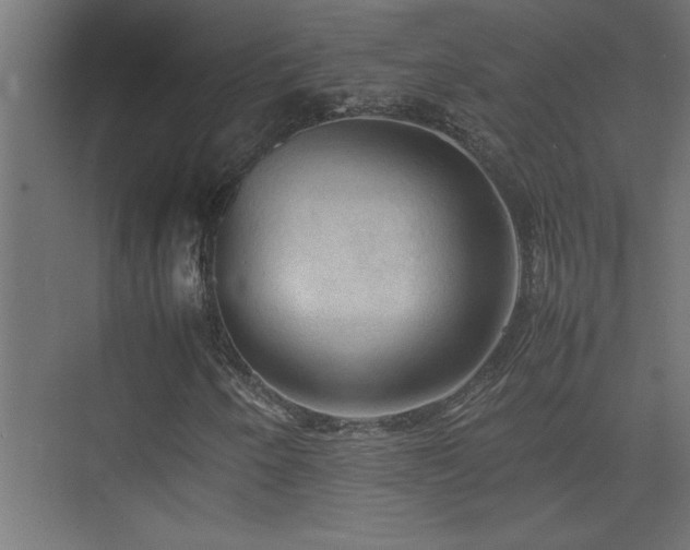 X0000074031250200608211443