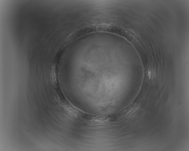 X0000074031252200608211443