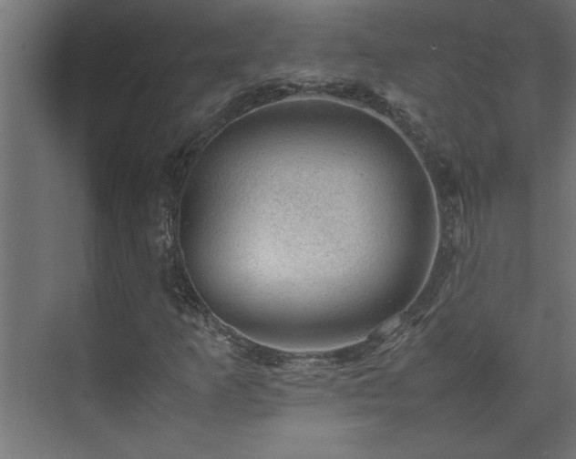 X0000074031253200608211443