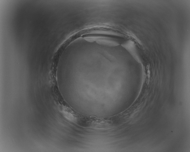 X0000074031256200608211443