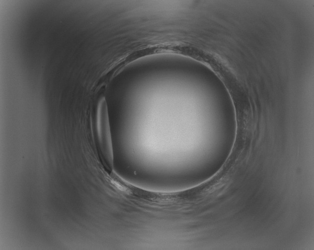 X0000074031257200608211443